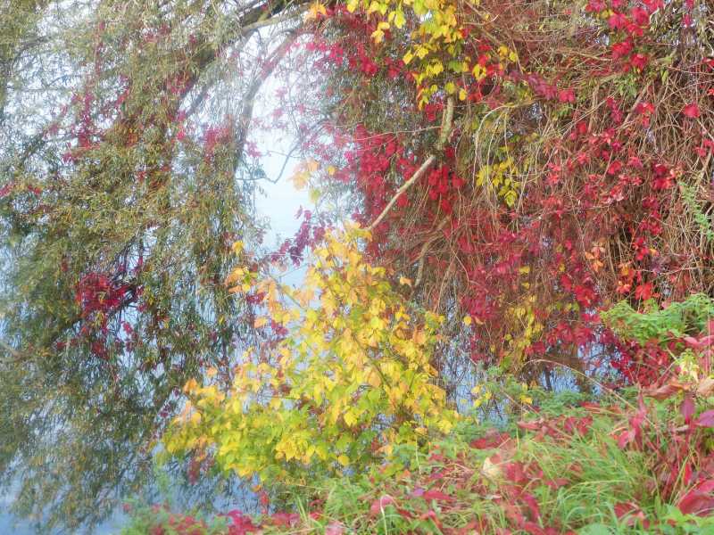 T15 2022 AUT SME 102