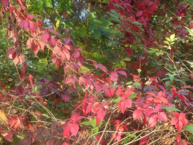 T15 2022 AUT SME 104