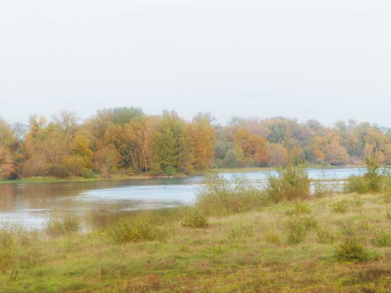 T15   2022 AUT SME 105