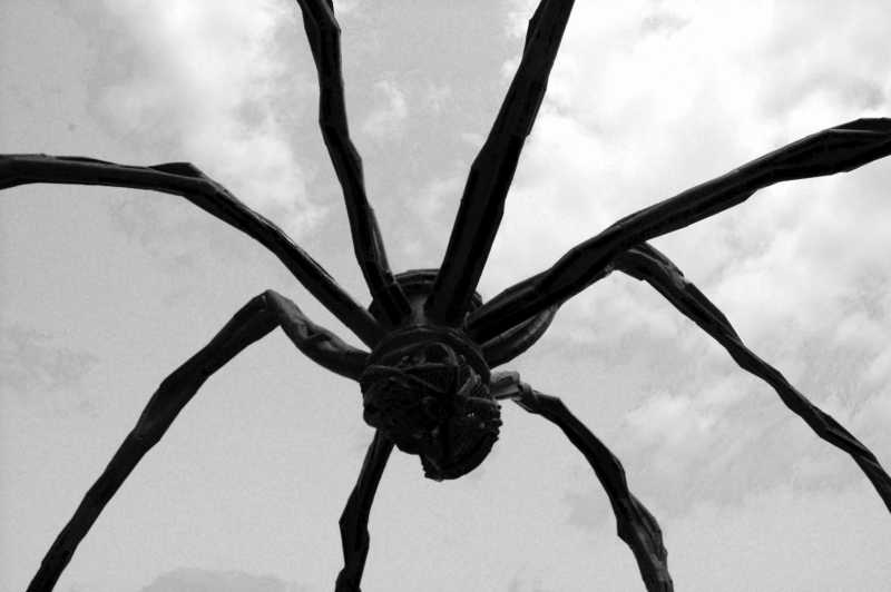 EXP 2023 CHA SME 112