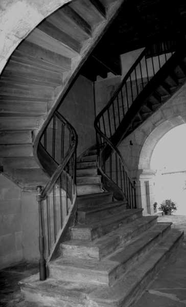 EXP 2023 CHA SME 113