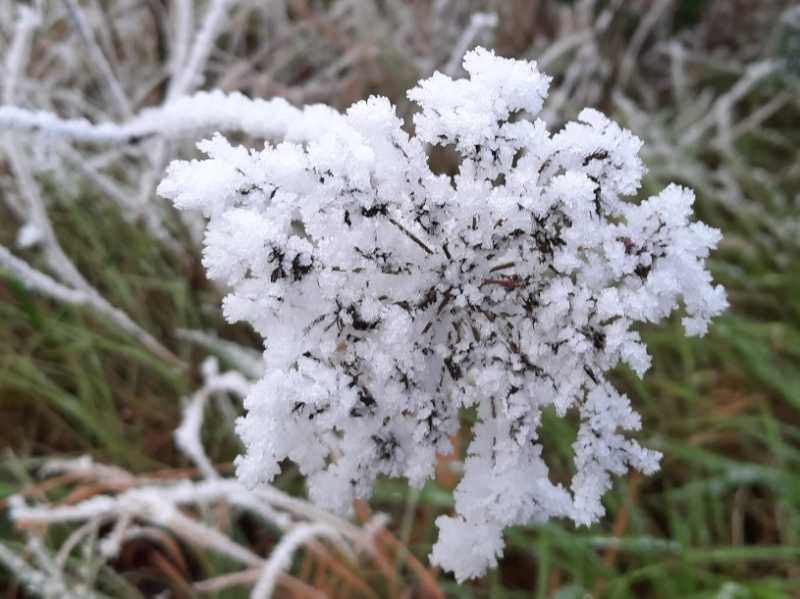 janv 26   Montlouis (21)a