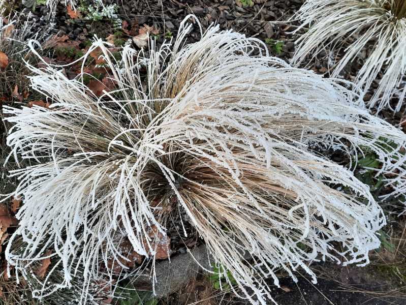 janv 26   Montlouis (2)a