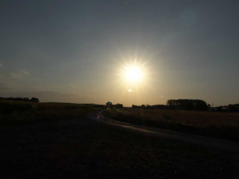 DSC08966