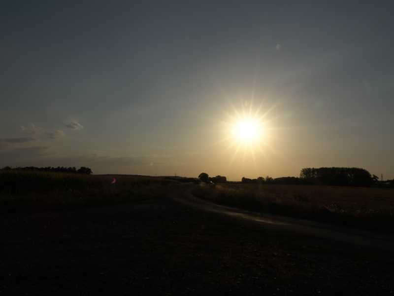 DSC08971