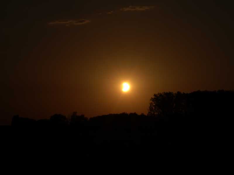 DSC09059