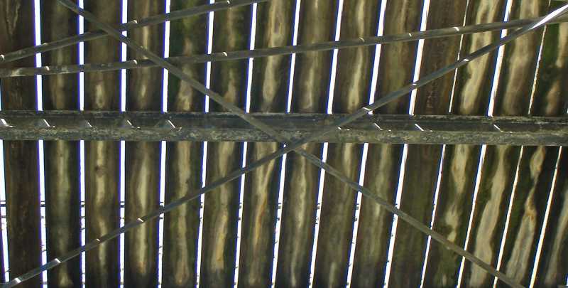 T15 2021 SYM SME 115 T15 2021 SYM SME 115