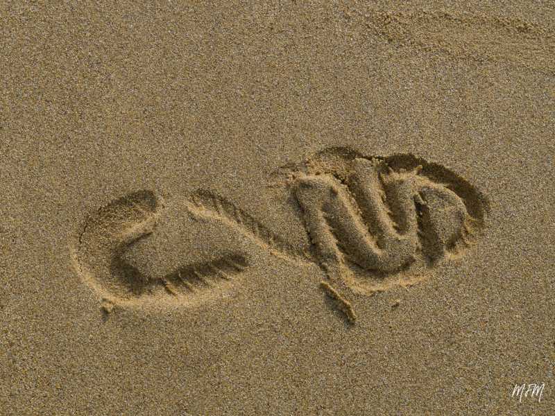 EXP 2022 EVR MFM 102 EXP 2022 EVR MFM 102