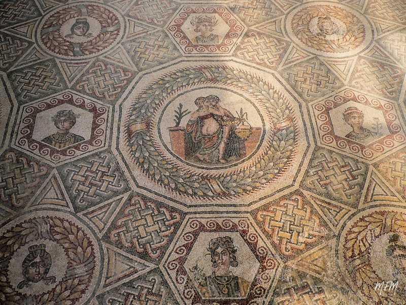 EXP 2022 CHA MFM 103 EXP 2022 CHA MFM 103