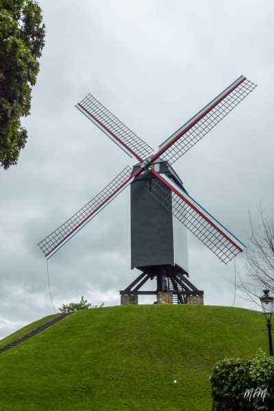 EXP 2022 CHA MFM 104 EXP 2022 CHA MFM 104