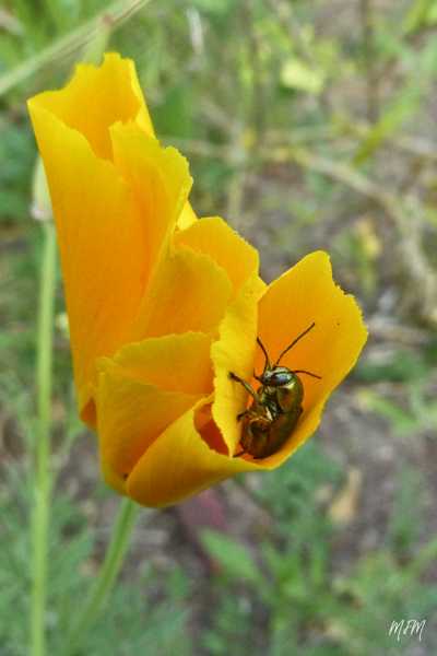 Expo 2022 Ath MFM (1) Expo 2022 Ath MFM (1)