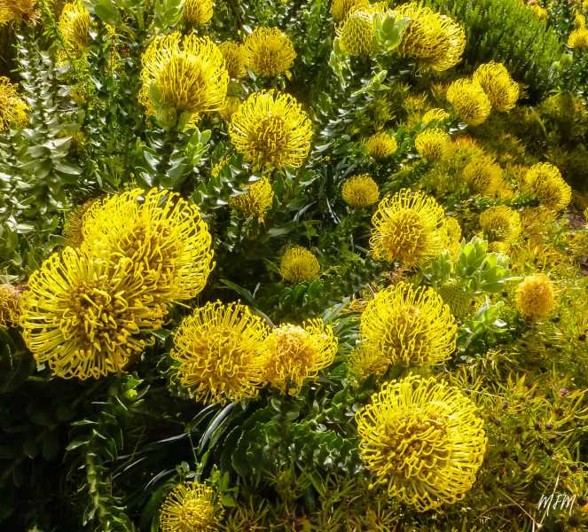 Expo 2022 Ath MFM (6) Expo 2022 Ath MFM (6)