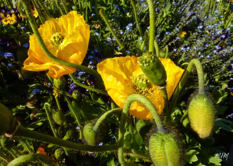 Expo 2022 Ath MFM (5) Expo 2022 Ath MFM (5)