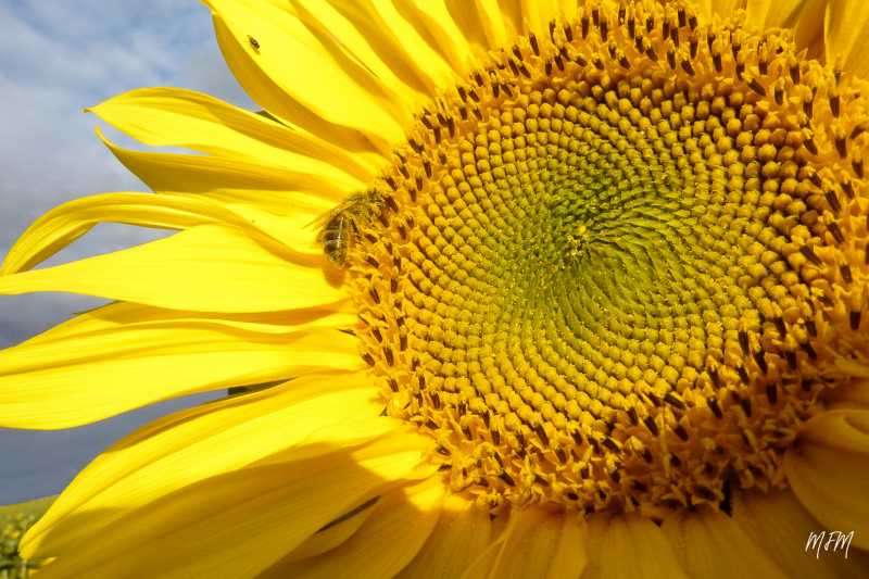 Expo 2022 Ath MFM (4) Expo 2022 Ath MFM (4)