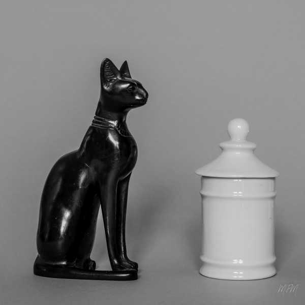 P5101271 2 P5101271 2