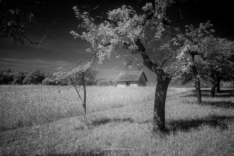 IMG 1548 Modifier IMG 1548 Modifier