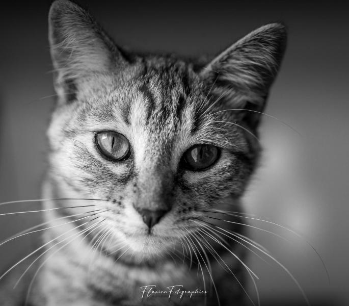 E3A29F74 E8D3 4799 B78B 358C1BDBC176 E3A29F74 E8D3 4799 B78B 358C1BDBC176