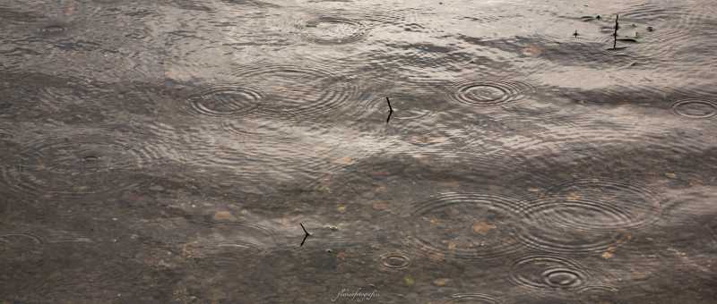 T30 2023 PLU FFL 001