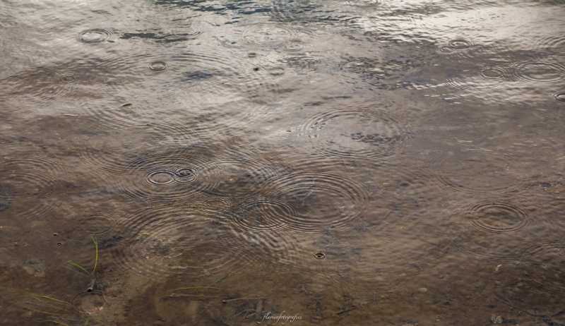 T30 2023 PLU FFL 003