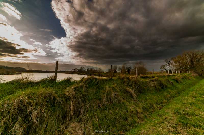 T30 2023 PLU FFL 004 T30 2023 PLU FFL 004