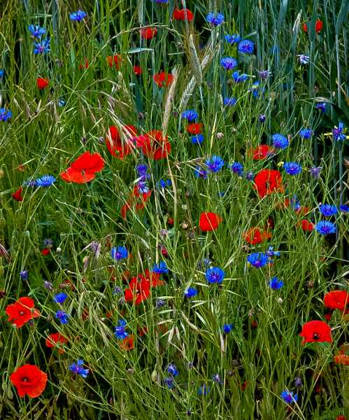 2190 T 2023 FLS SME 103