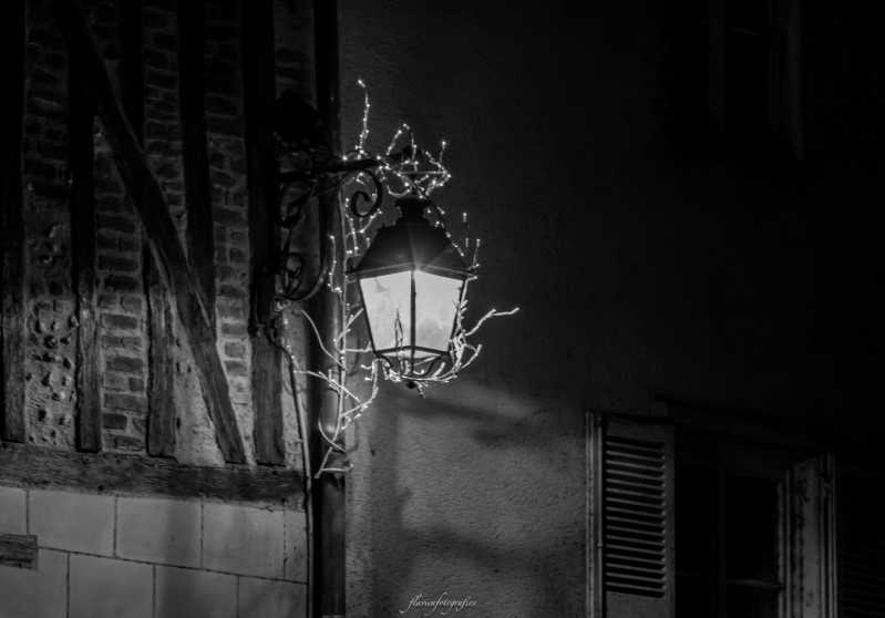 T60 2023 NUI FFL 102