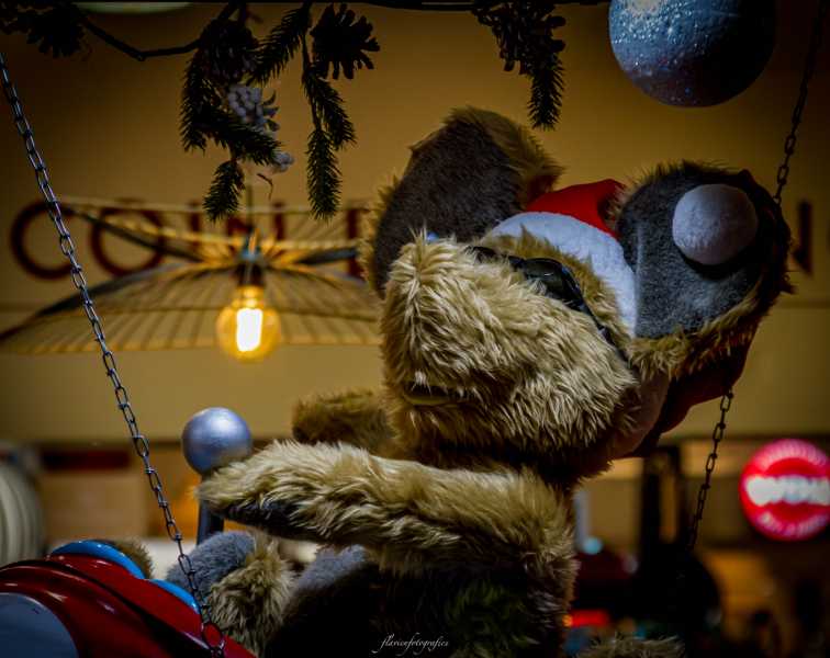 T60 2023 NUI FFL 101