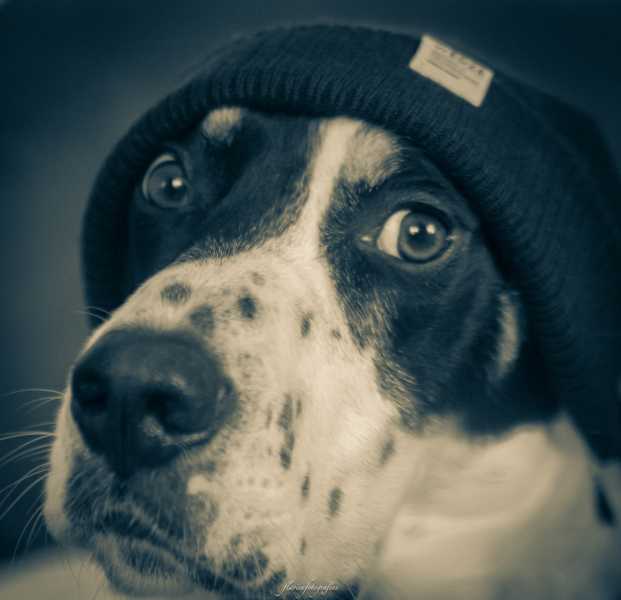 EXP 2024 ATH FFL 106