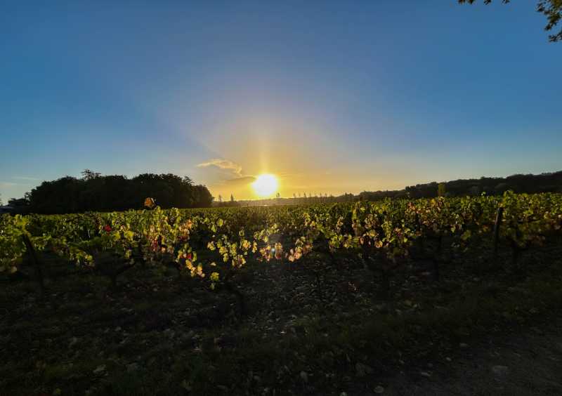 IMG 3180 IMG 3180