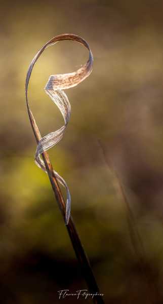 IMG 9625 2 IMG 9625 2