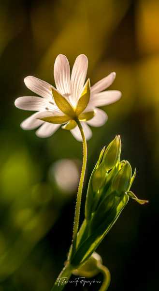 IMG 9632 2 IMG 9632 2