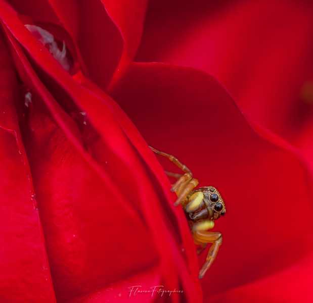 IMG 6433 2 IMG 6433 2