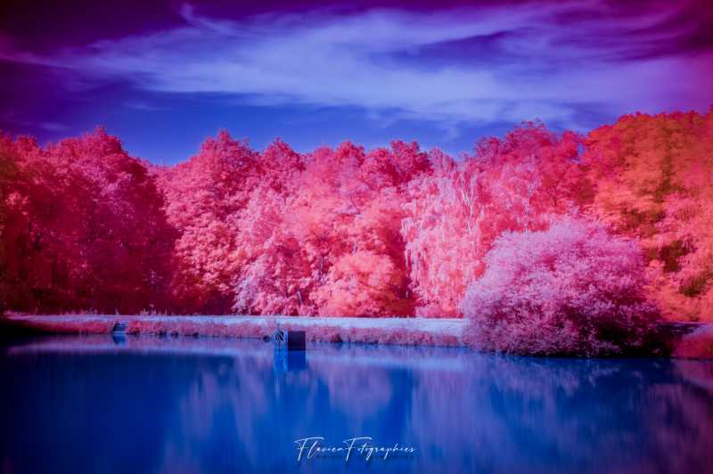 488W0508 Modifier 488W0508 Modifier