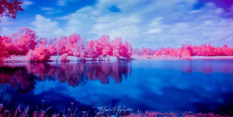 488W1385 Modifier 488W1385 Modifier