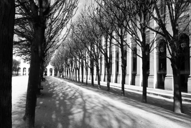 EXP 2023 CHA COR 101