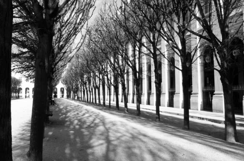 EXP 2023 CHA COR 101