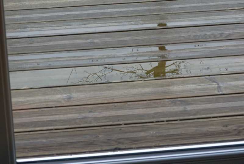 T30 2023 FEN COR 102