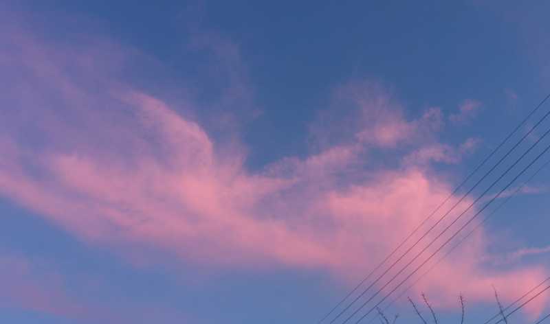 T30 2023 PLU COR 101 T30 2023 PLU COR 101