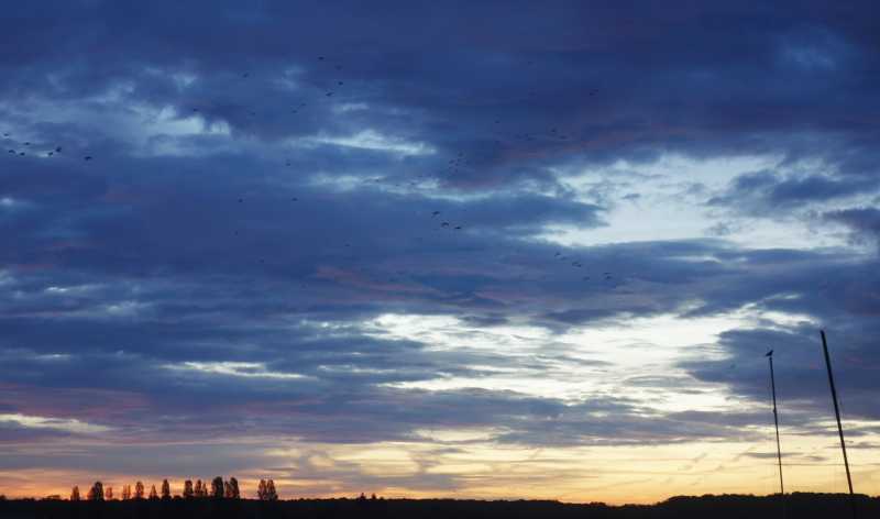 T30 2023 PLU COR 105 T30 2023 PLU COR 105