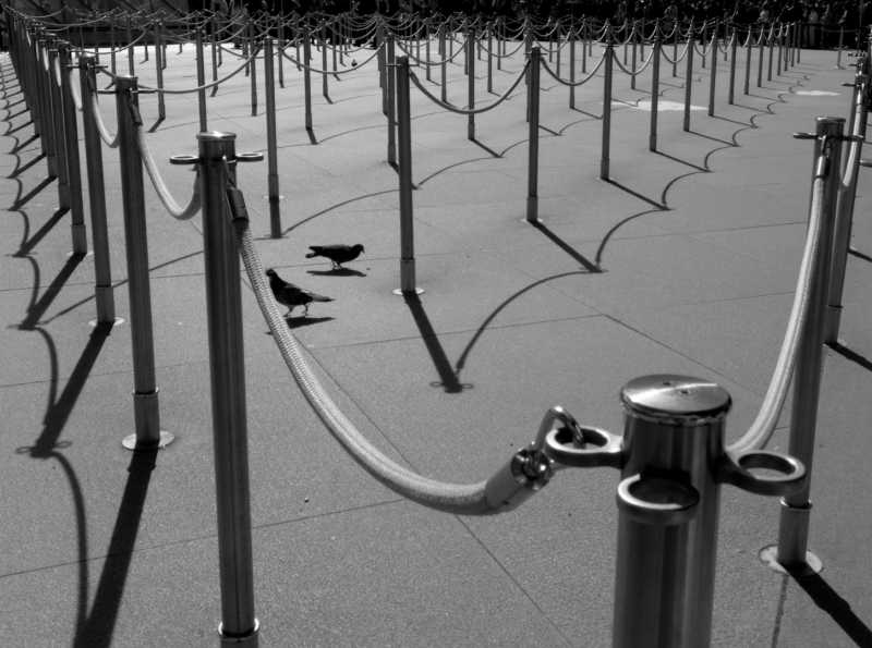 EXP 2023 ATH COR 104b