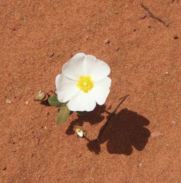 T30 2023 FLS XNE 104