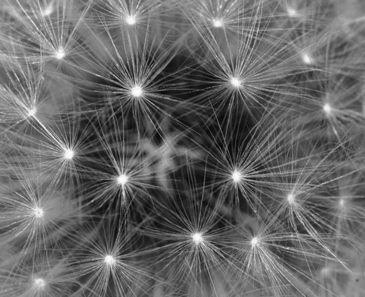 T30 2023 FLS XNE 106