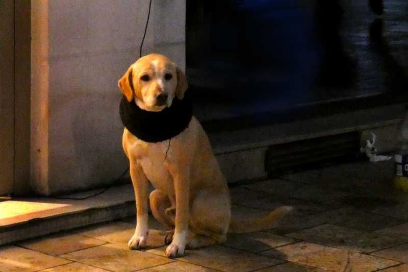 EXP 2022 MON ARA 103 EXP 2022 MON ARA 103