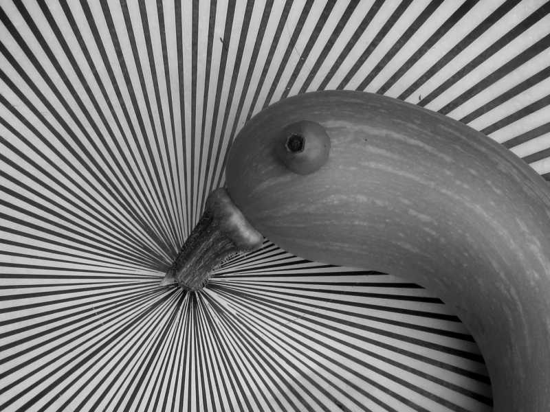 EXP 2022 MON ARA 109 EXP 2022 MON ARA 109