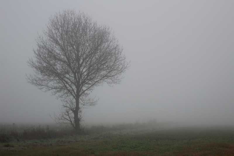 IMG 8054MINIMALISTE LLE