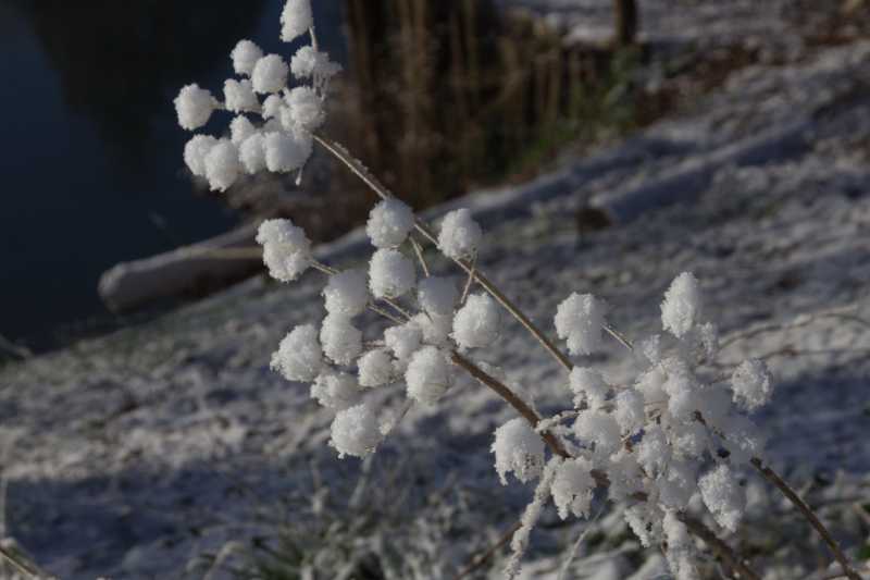 MCJ NEIGE 02 MCJ NEIGE 02